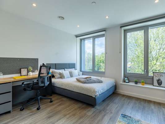 Platinum Studio room type
